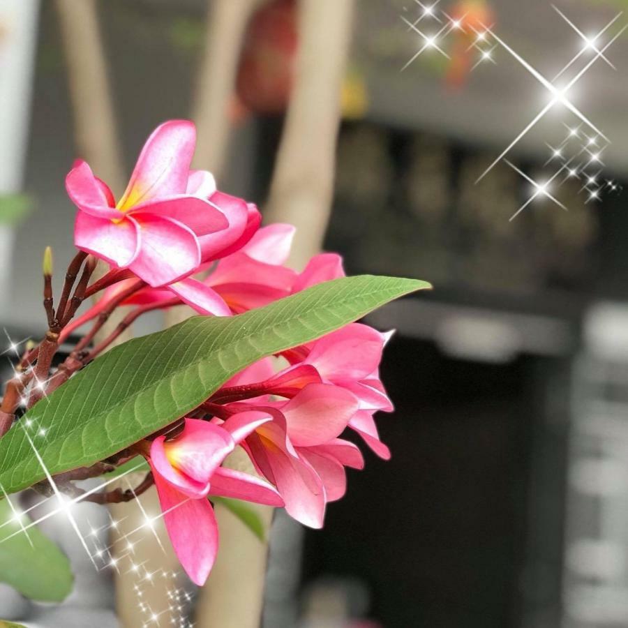 Ryokan Muntri Boutique Hostel George Town Dış mekan fotoğraf